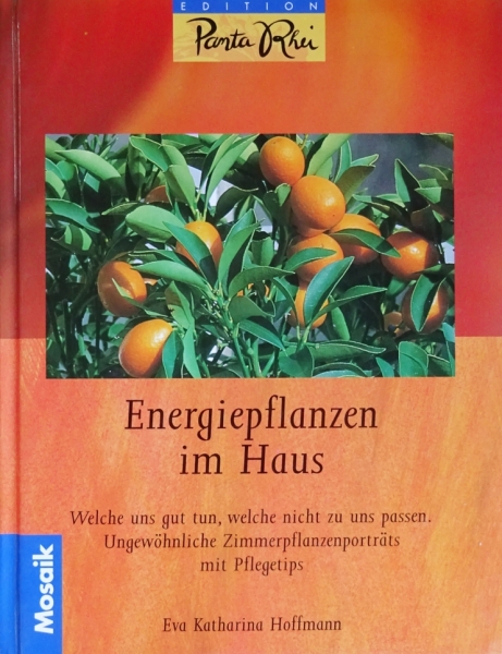 Energiepflanzen im Haus von Eva Katharina Hoffmann